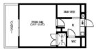 カステリア大濠 - 所在階***階の間取り図 3125