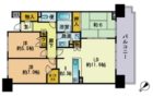 シティハウス南福岡 - 所在階***階の間取り図 3641