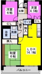 マイン西公園 - 所在階***階の間取り図 3662