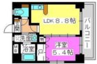 シティライフ博多駅南 - 所在階 の間取り図