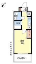 CASSIA天神南（旧DSタワー天神南レジデンス） - 所在階 の間取り図