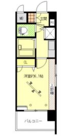 ライオンズマンション天神 - 所在階 の間取り図