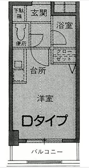 ライベストコート薬院号室-間取り