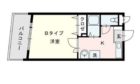 プルメリア大橋 - 所在階***階の間取り図 7995