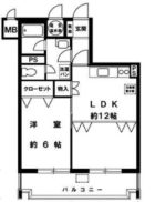 ライオンズマンション博多 - 所在階 の間取り図