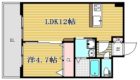 GLC薬院east - 所在階 の間取り図