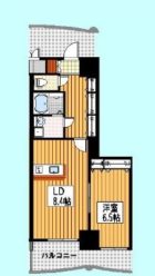 ロイヤルコンフォート渡辺通 - 所在階 の間取り図