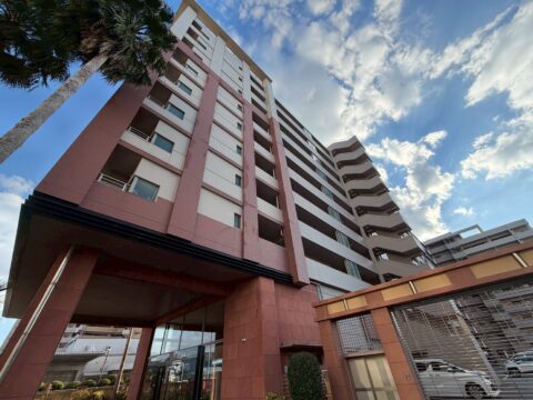 メインイメージ1